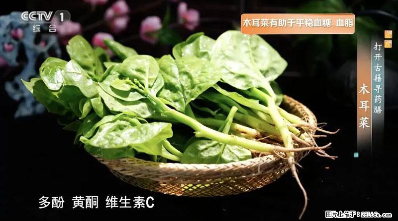 比牛奶补钙还厉害！凉血解毒、稳血糖...这菜冬天必吃，很多人却当草 - 齐齐哈尔生活资讯 - 齐齐哈尔28生活网 qqhr.28life.com