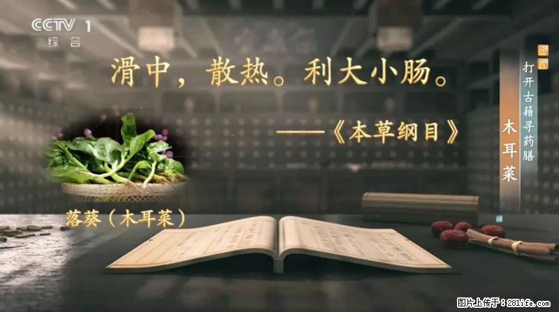 比牛奶补钙还厉害！凉血解毒、稳血糖...这菜冬天必吃，很多人却当草 - 齐齐哈尔生活资讯 - 齐齐哈尔28生活网 qqhr.28life.com