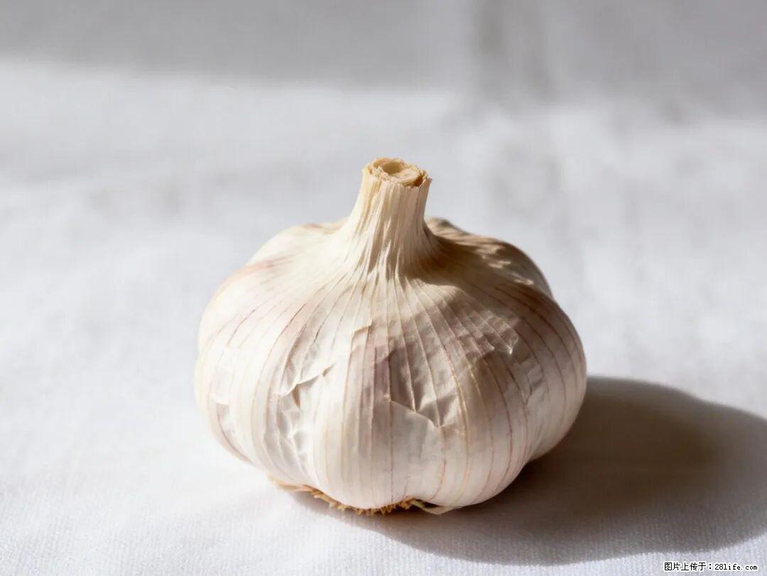 关于大蒜，除了“天然抗生素”，这4个谣言更该警惕! - 齐齐哈尔生活资讯 - 齐齐哈尔28生活网 qqhr.28life.com