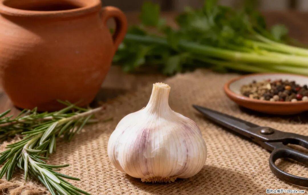 关于大蒜，除了“天然抗生素”，这4个谣言更该警惕! - 齐齐哈尔生活资讯 - 齐齐哈尔28生活网 qqhr.28life.com
