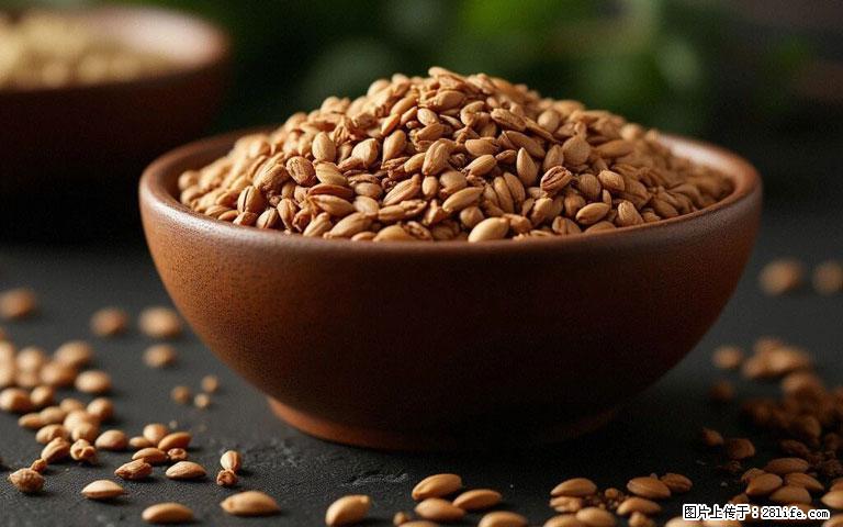 这三苦是三高“克星”，心血管干净不易堵！每天吃一点，指标慢慢降下来~ - 齐齐哈尔生活资讯 - 齐齐哈尔28生活网 qqhr.28life.com