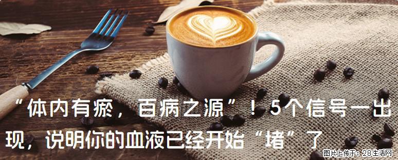 “体内有瘀，百病之源”！5个信号一出现，说明你的血液已经开始“堵”了 - 齐齐哈尔生活资讯 - 齐齐哈尔28生活网 qqhr.28life.com
